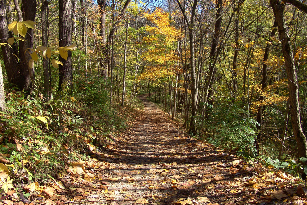 View along the Terrace Trail at Battelle Darby Creek, in fall