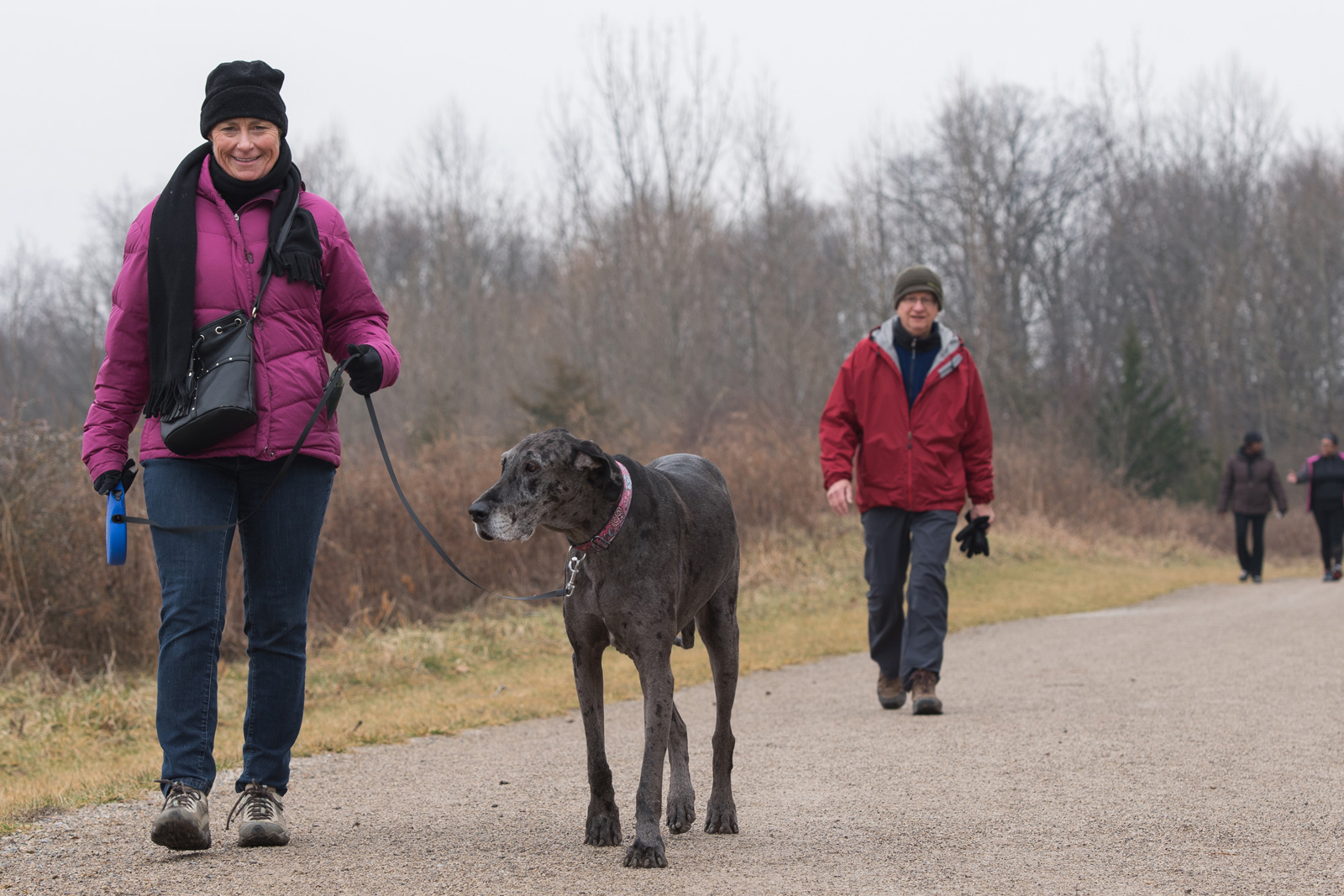 Hikers and one dog on trail in Darby Bend Lakes area at Prairie Oaks.
