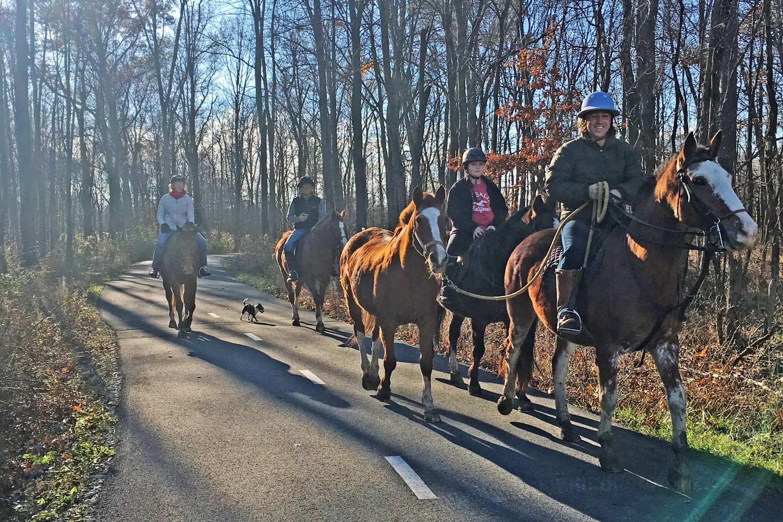 Horse riders enjoy a late fall ride on the Beech Woodland Trail at Rocky Fork.