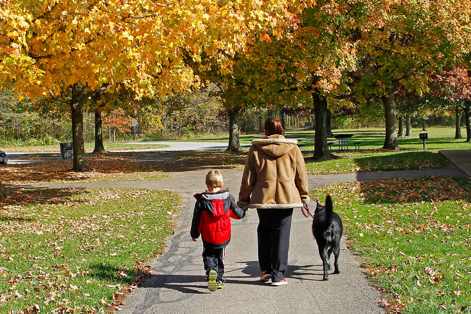 Visitors walk their dog in a picnic area at Sharon Woods.