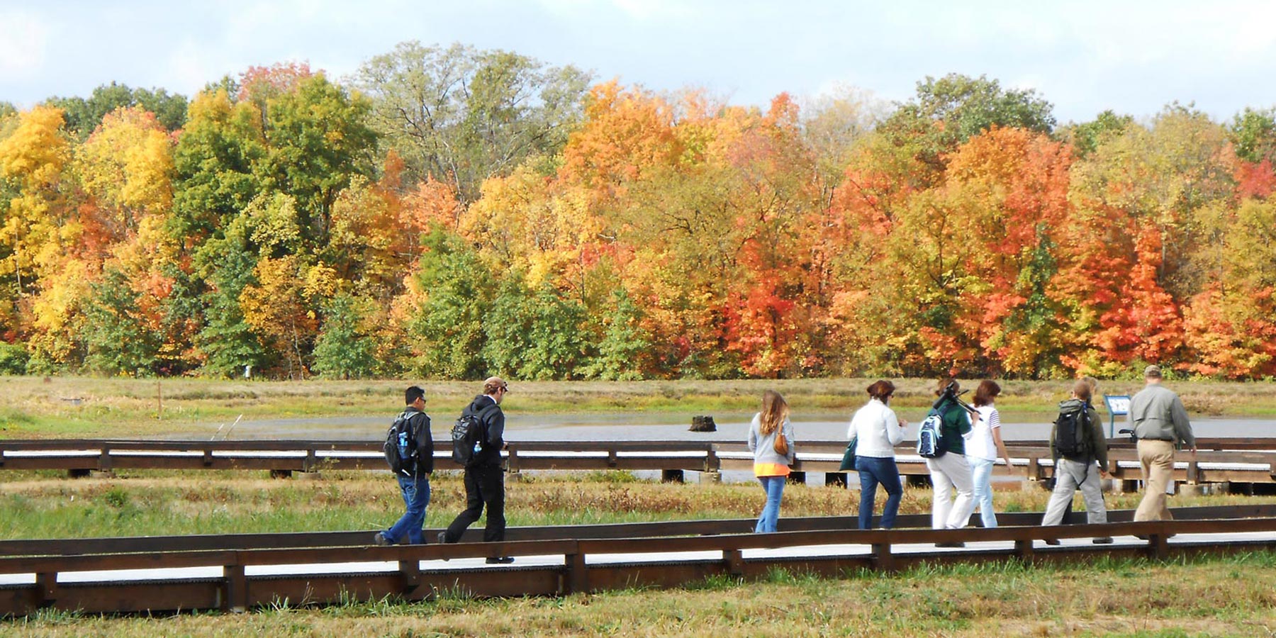 web_SLR_18x9_visitors-walking-on-wetland-boardwalk_M-McConnell